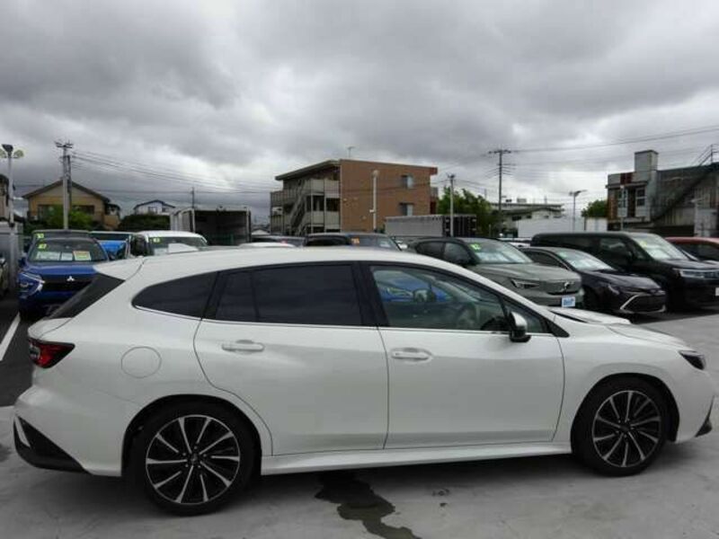 LEVORG