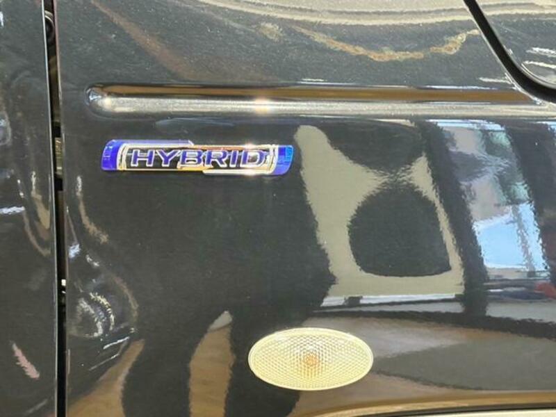 HUSTLER