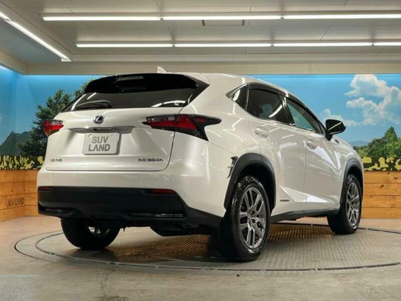NX