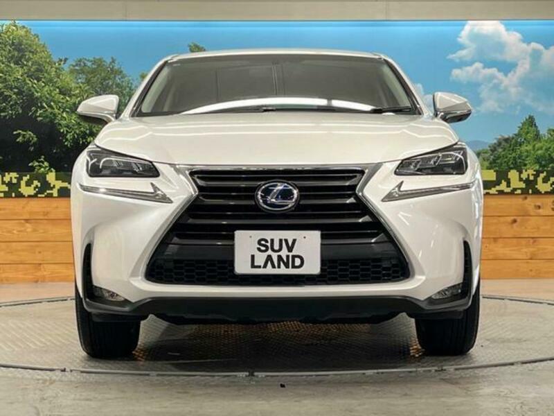 NX