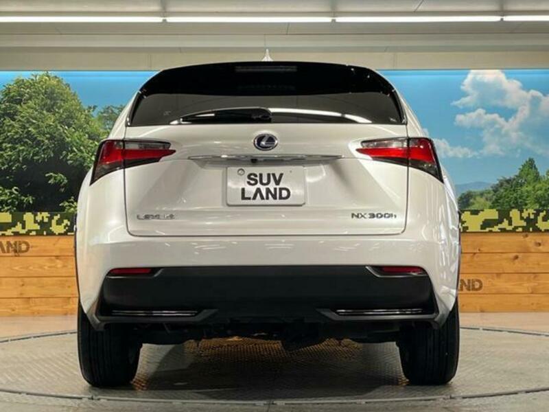 NX