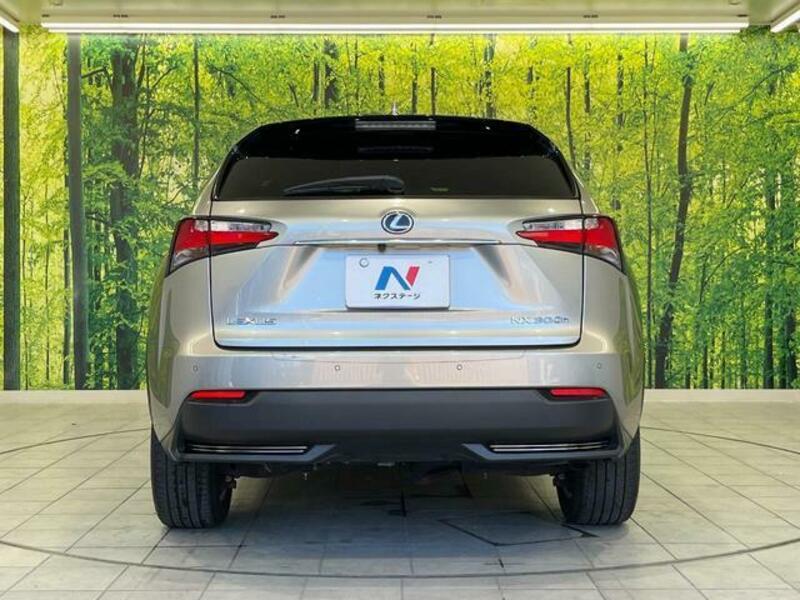 NX