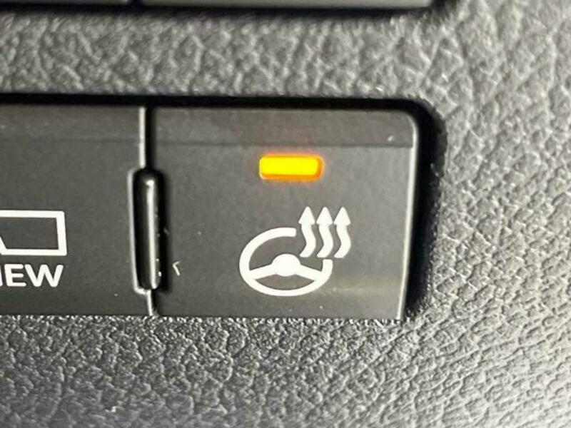 NX