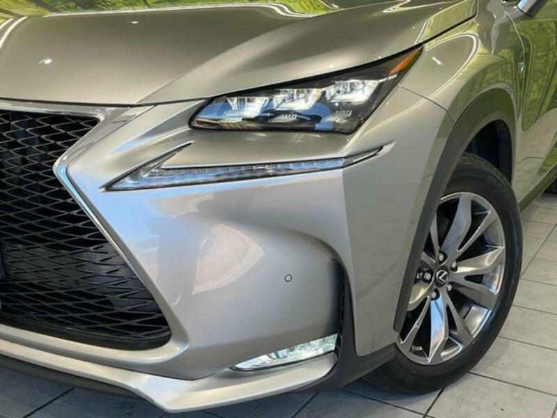 NX