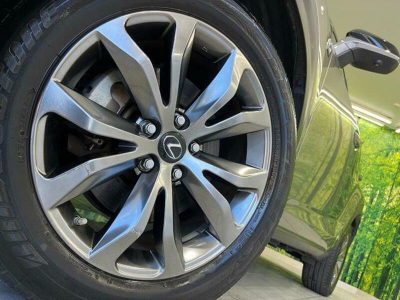 NX
