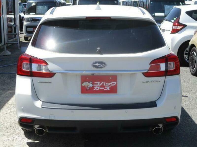 LEVORG