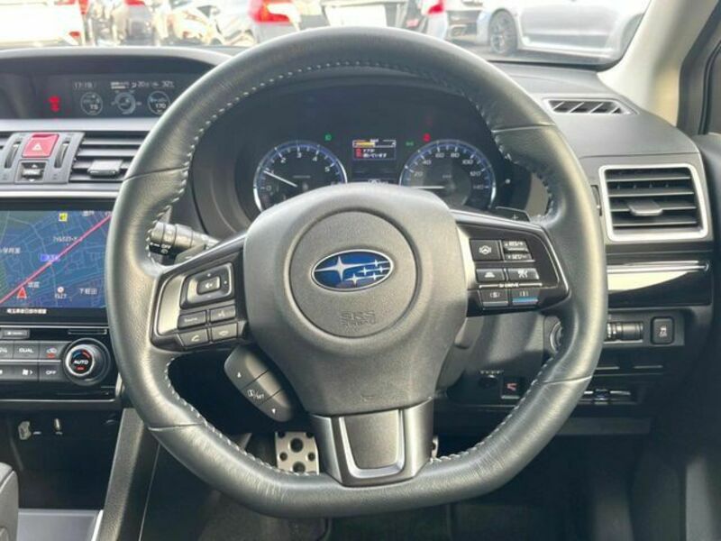 LEVORG