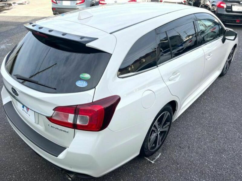 LEVORG