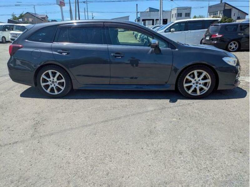 LEVORG