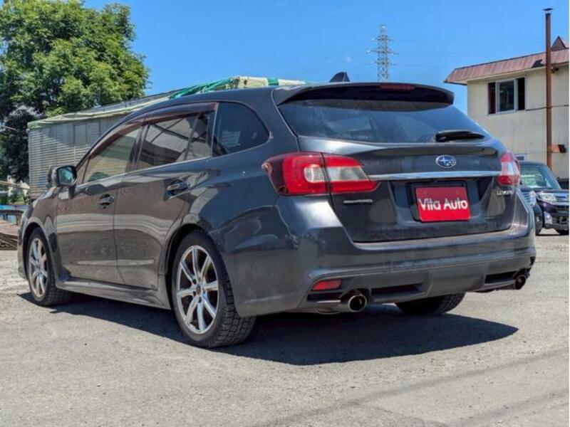 LEVORG
