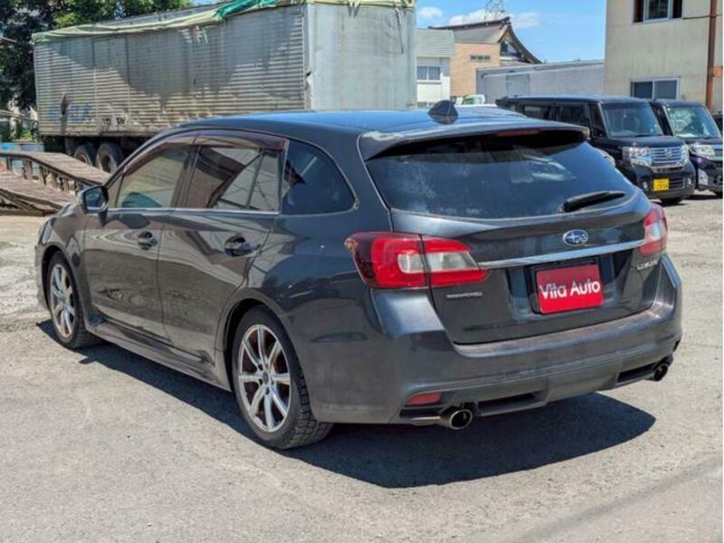 LEVORG