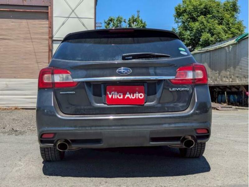 LEVORG