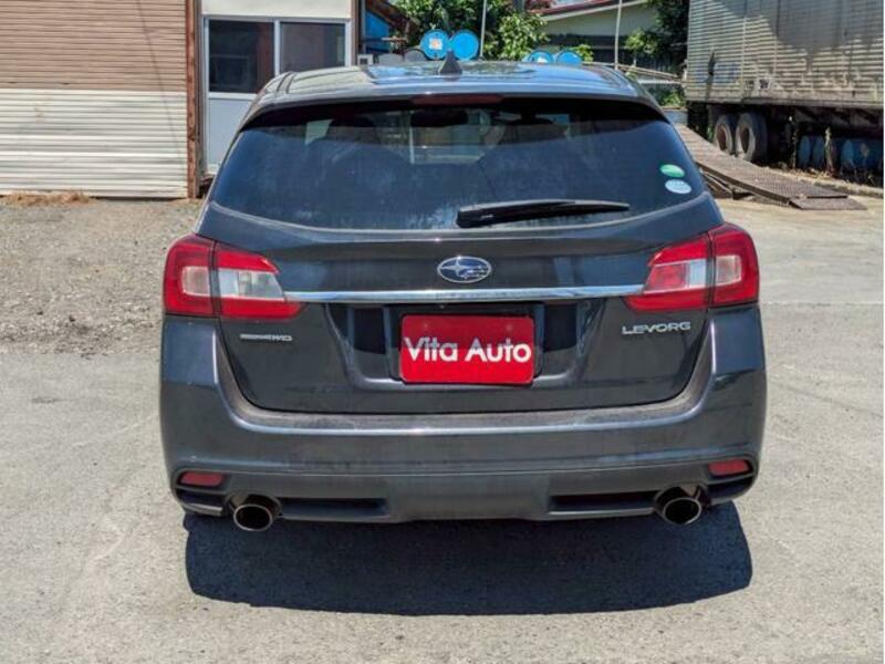 LEVORG