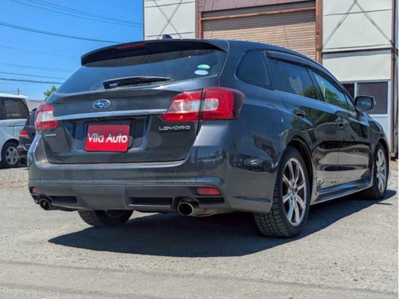 LEVORG