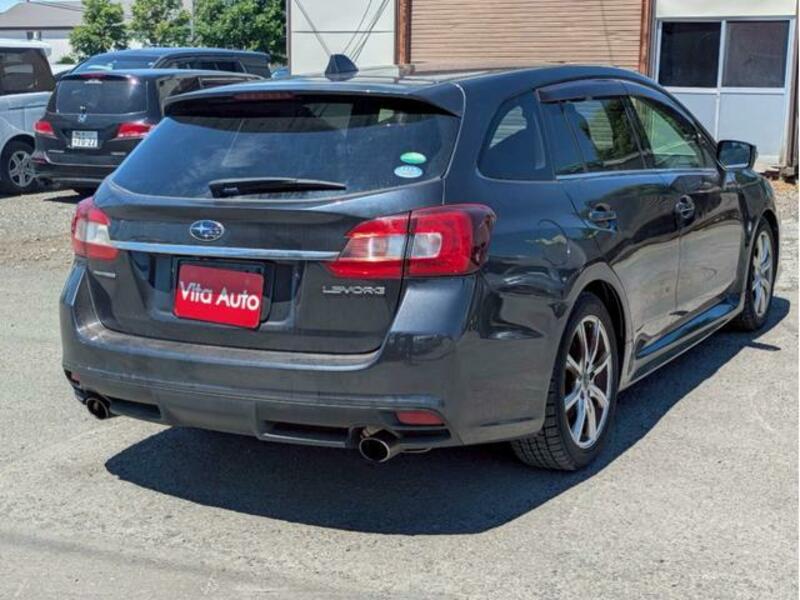 LEVORG
