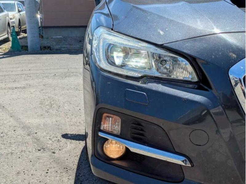 LEVORG