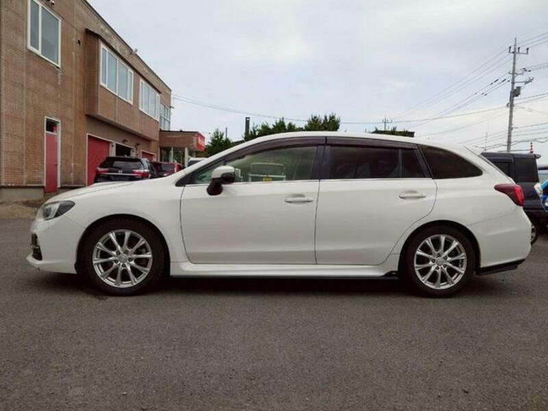 LEVORG