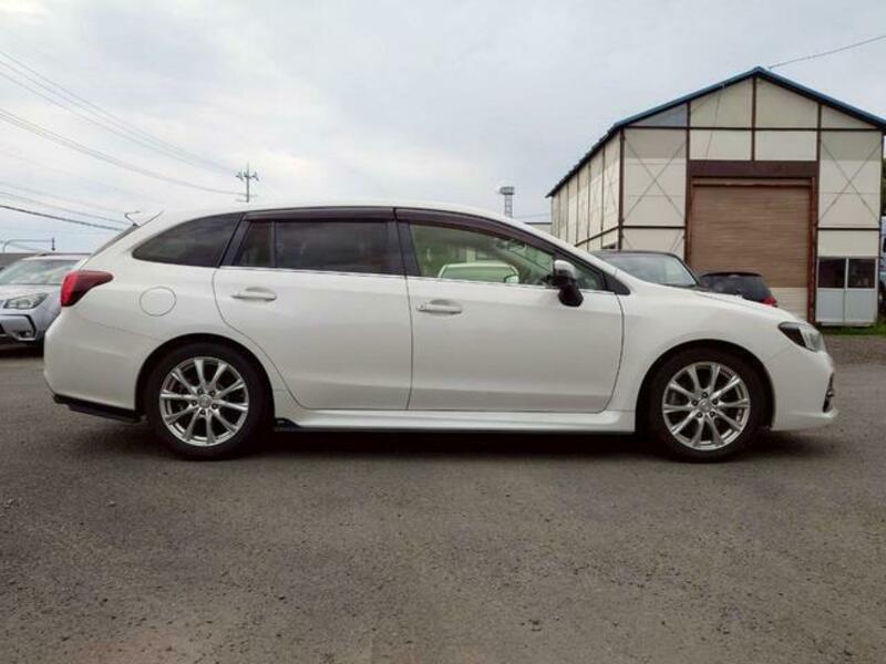 LEVORG