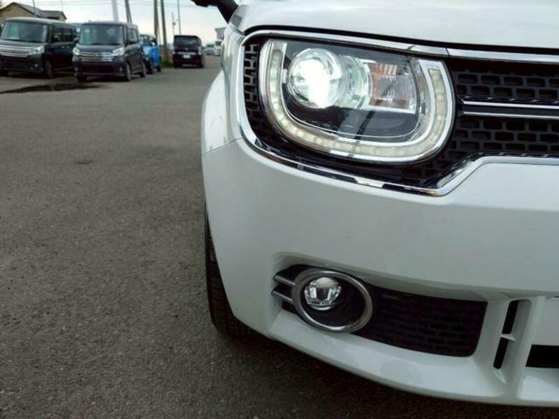 IGNIS