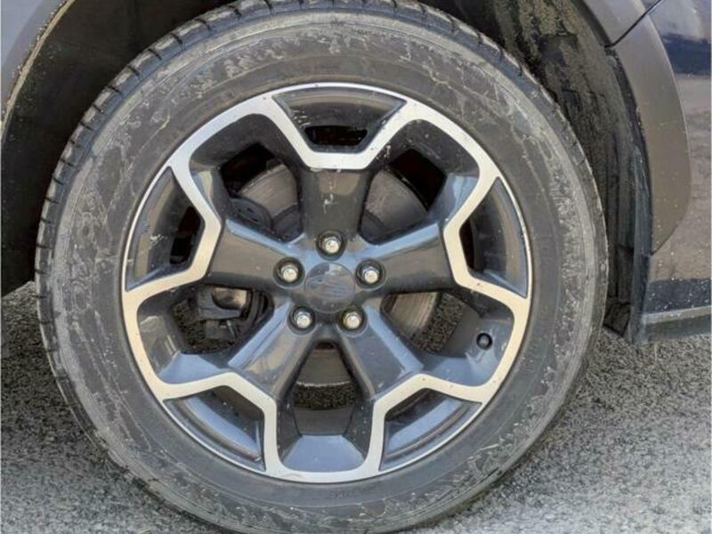 XV
