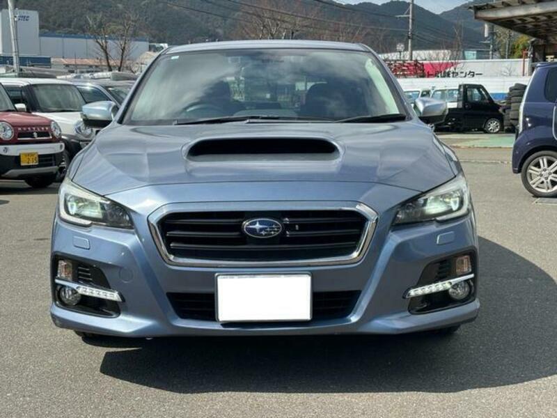 LEVORG