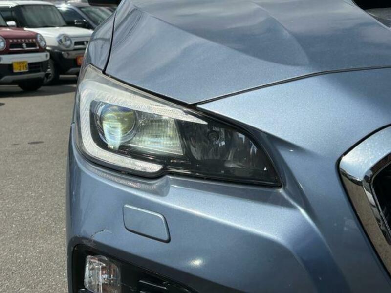 LEVORG