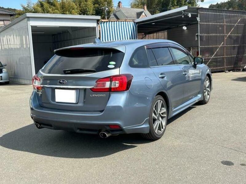 LEVORG