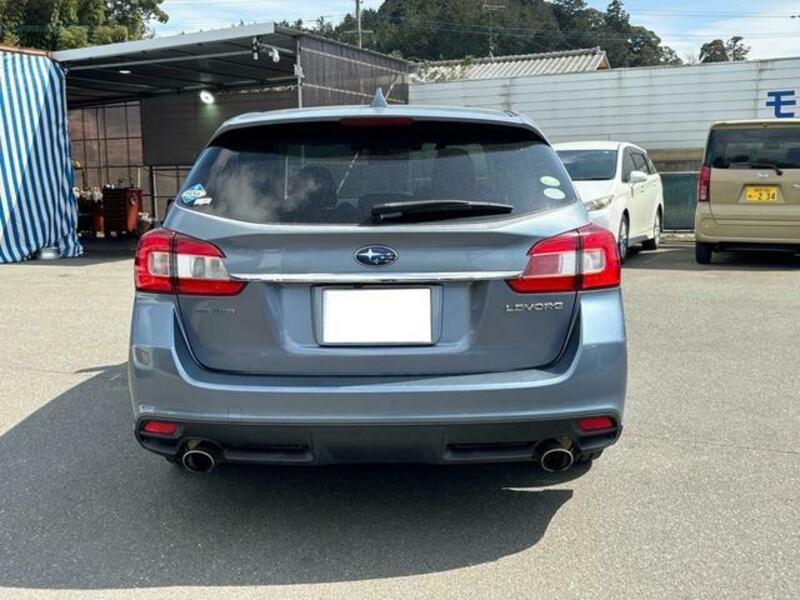 LEVORG