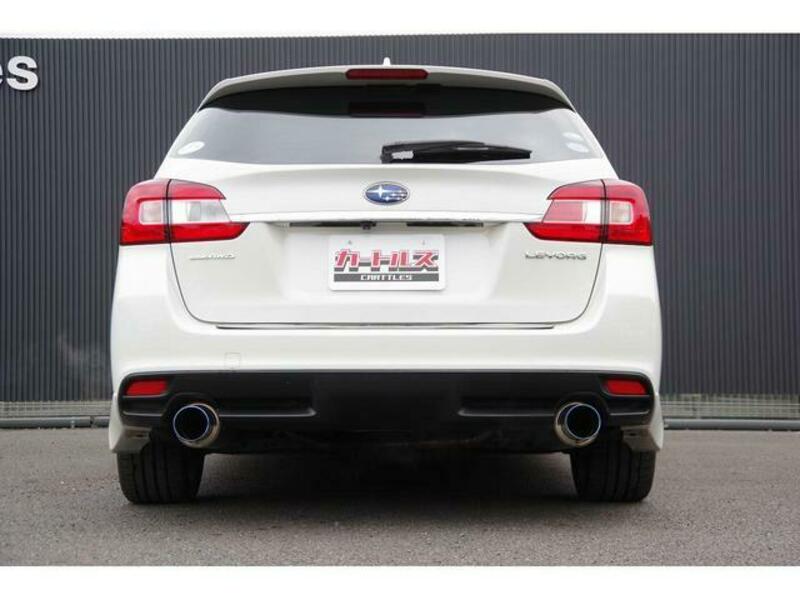 LEVORG