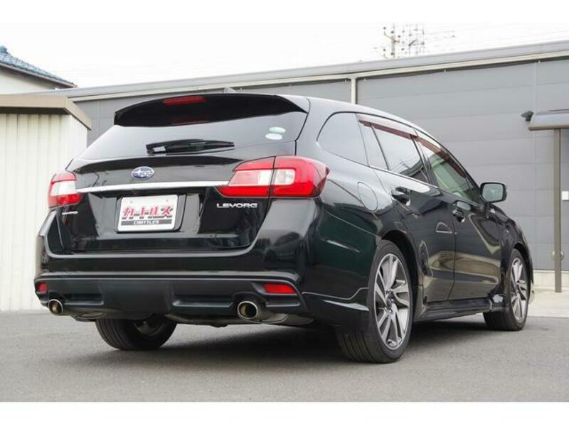 LEVORG