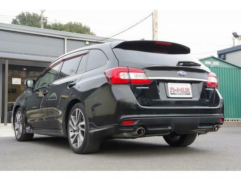LEVORG