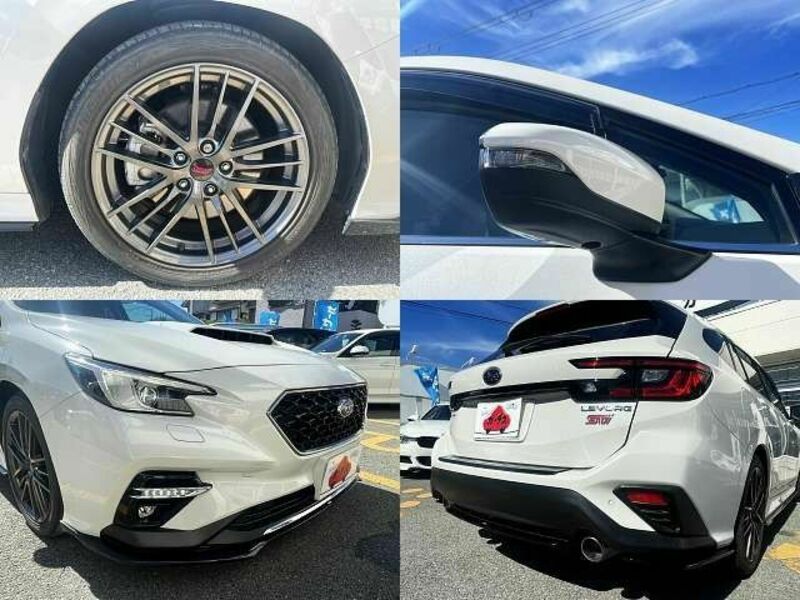LEVORG