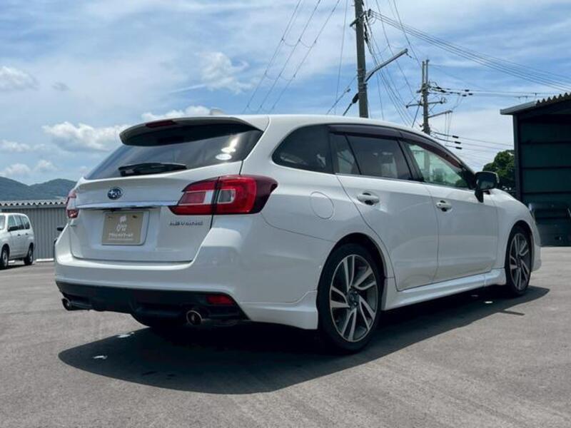 LEVORG