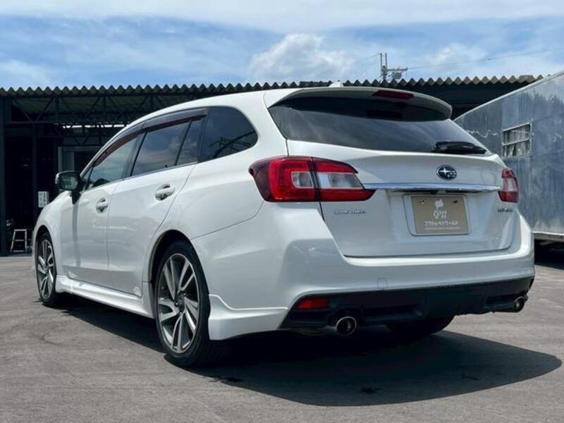 LEVORG
