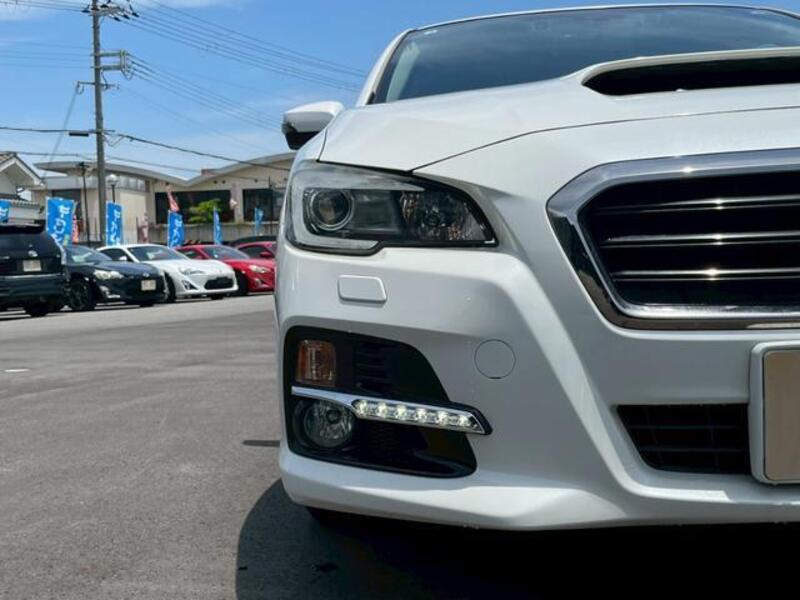 LEVORG
