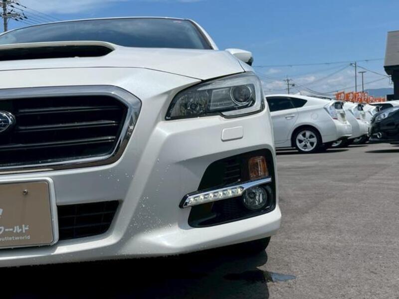 LEVORG