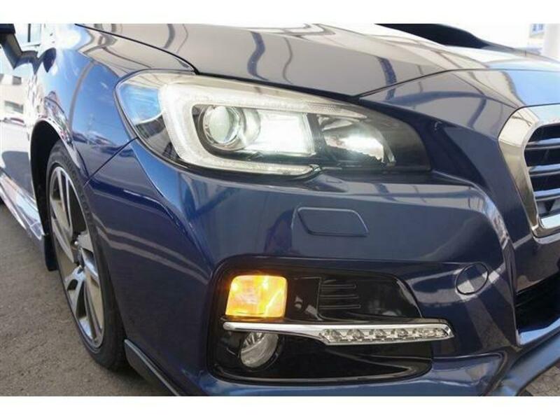 LEVORG