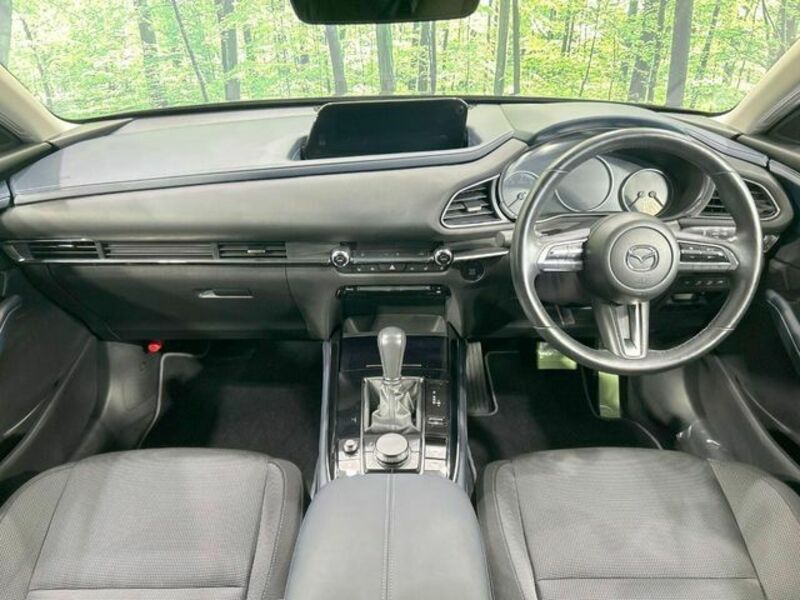 CX-30
