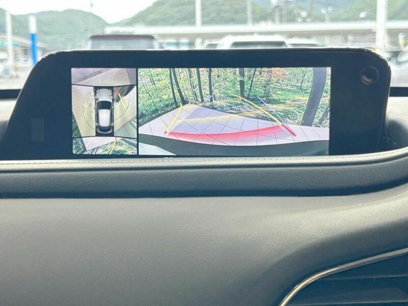 CX-30