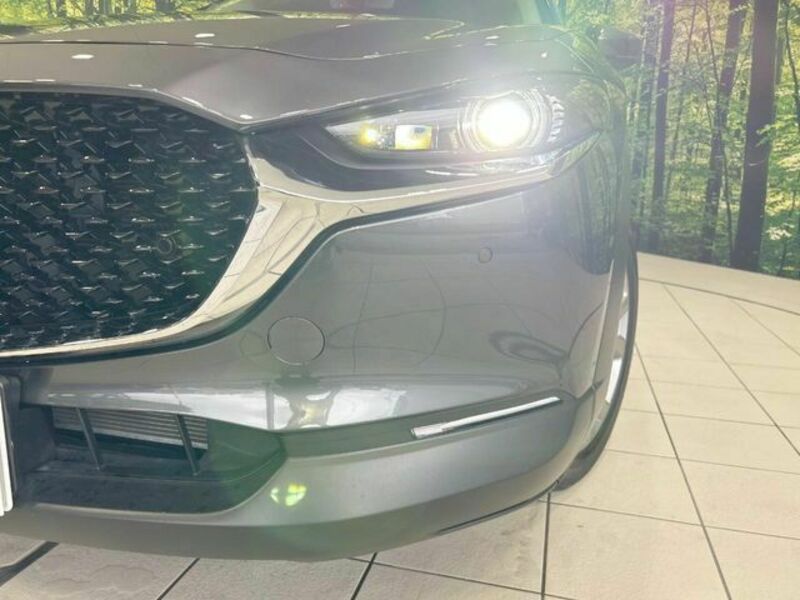 CX-30