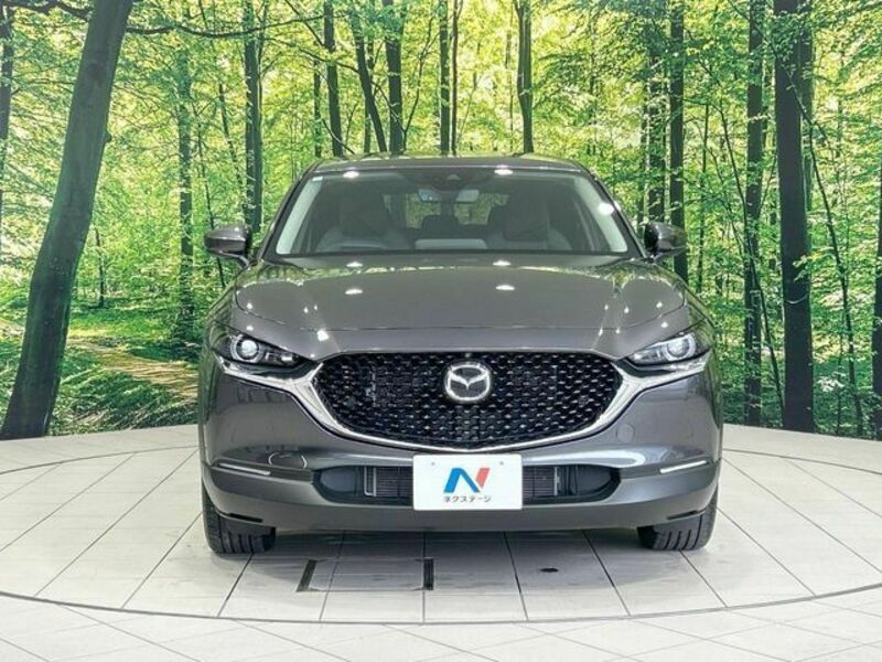CX-30