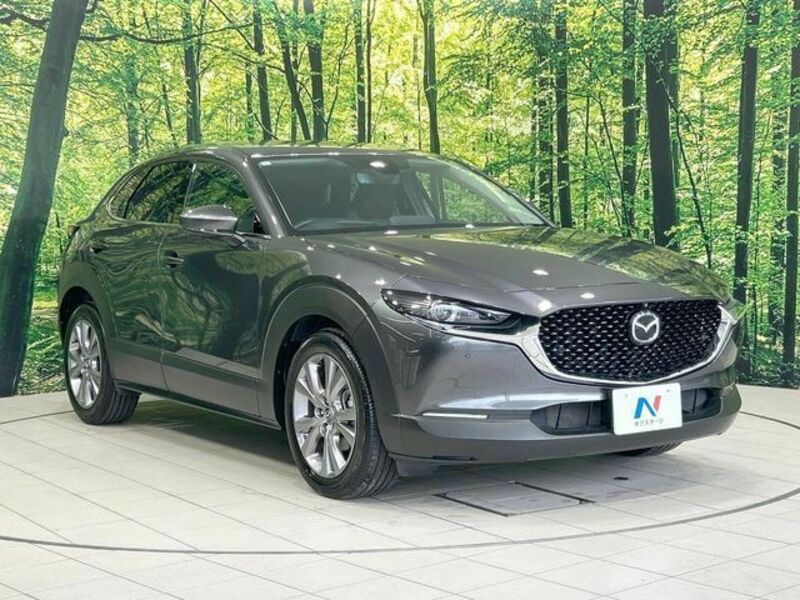 CX-30