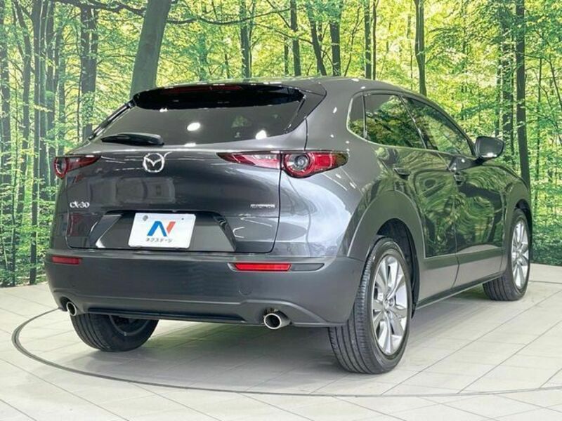 CX-30