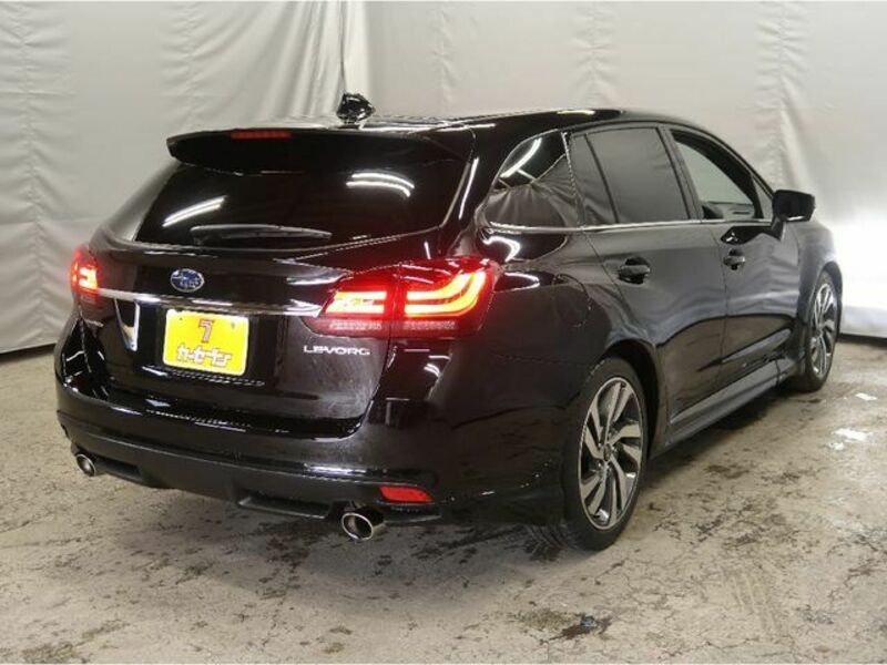 LEVORG