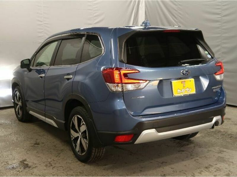 FORESTER