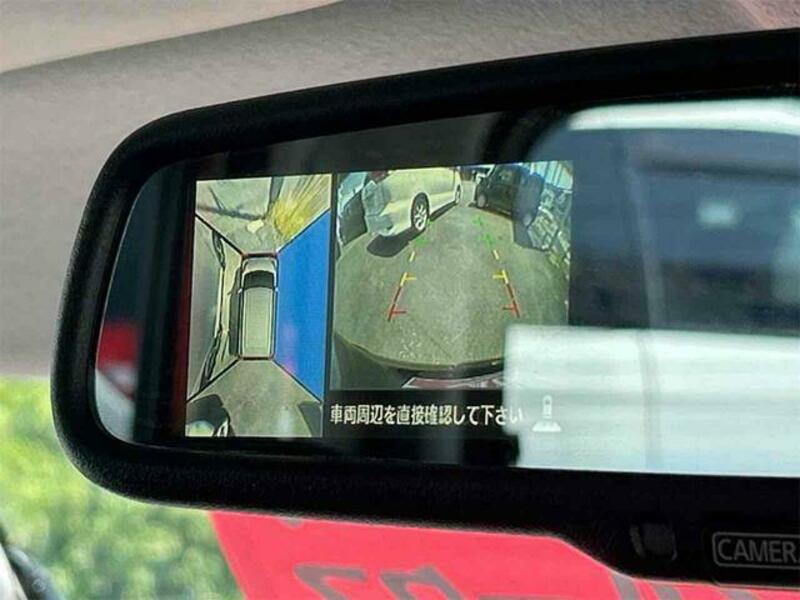 DAYZ ROOX