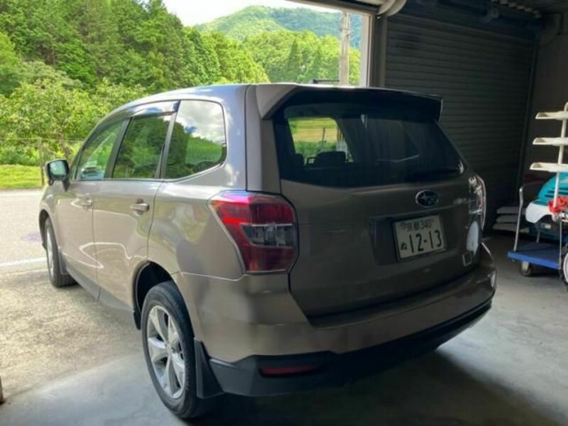 FORESTER