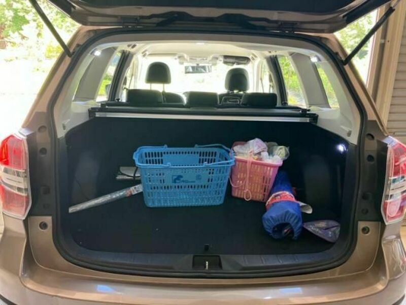FORESTER