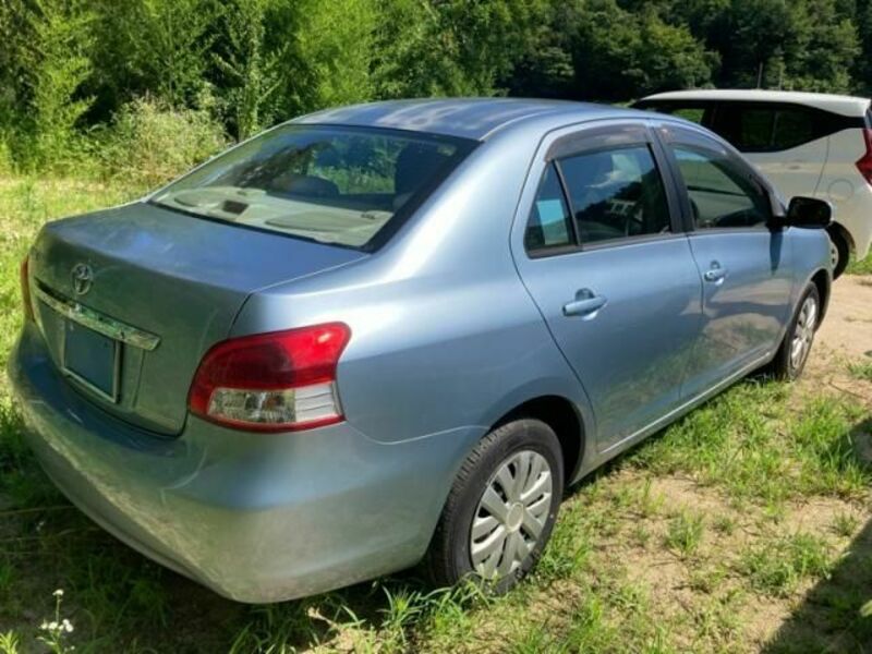 BELTA
