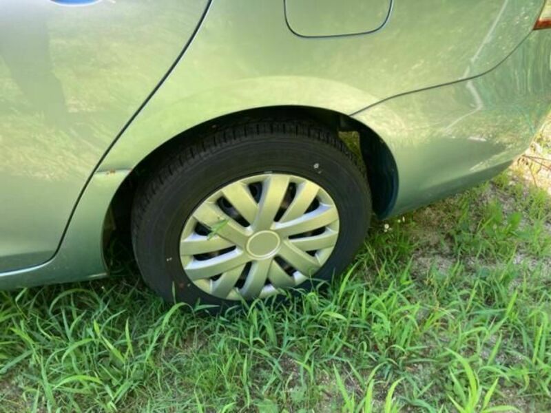 BELTA